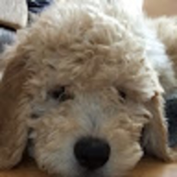 Meet your Posher, Christine - Picture 1 of 1